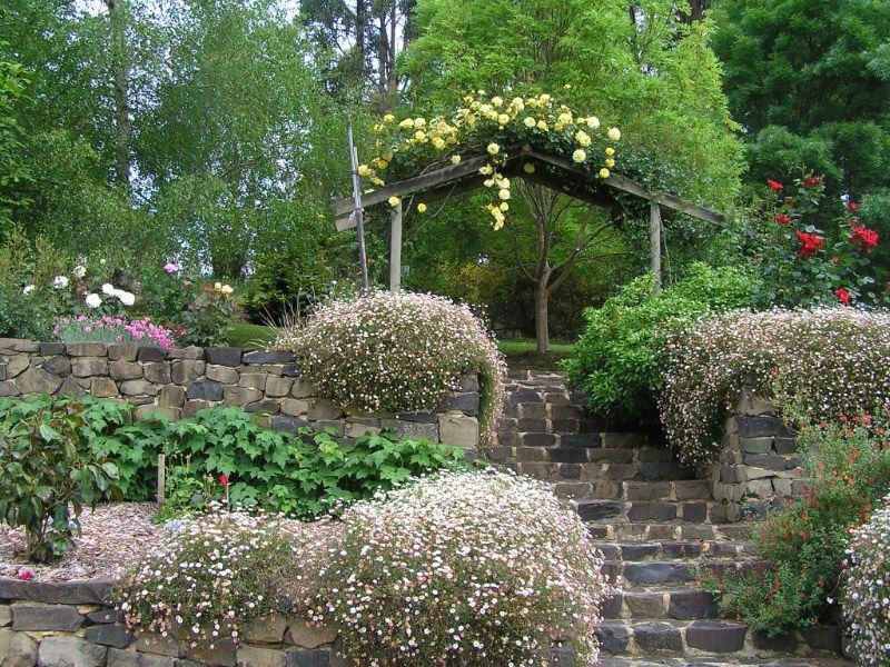 169 Darlimurla Road, Mirboo North VIC 3871