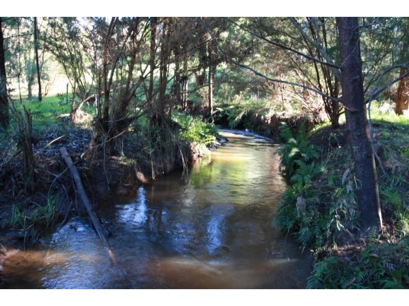 169 Darlimurla Road, Mirboo North VIC 3871