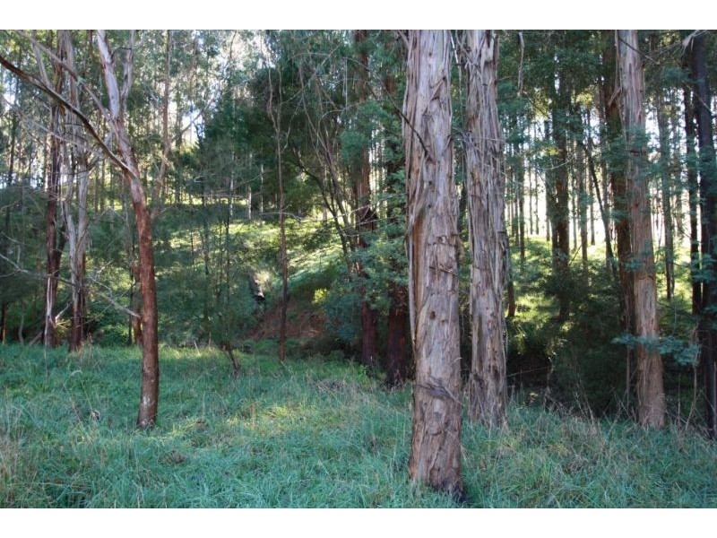 169 Darlimurla Road, Mirboo North VIC 3871