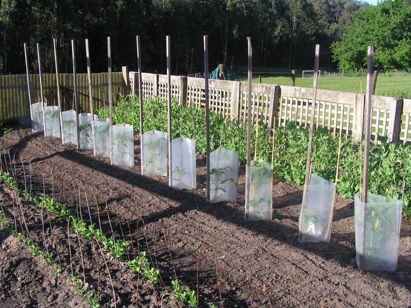 169 Darlimurla Road, Mirboo North VIC 3871