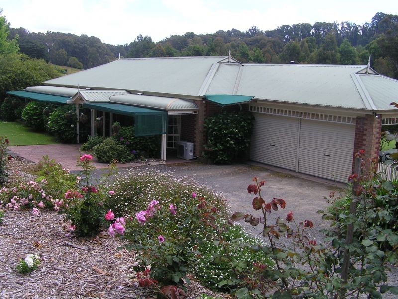 169 Darlimurla Road, Mirboo North VIC 3871