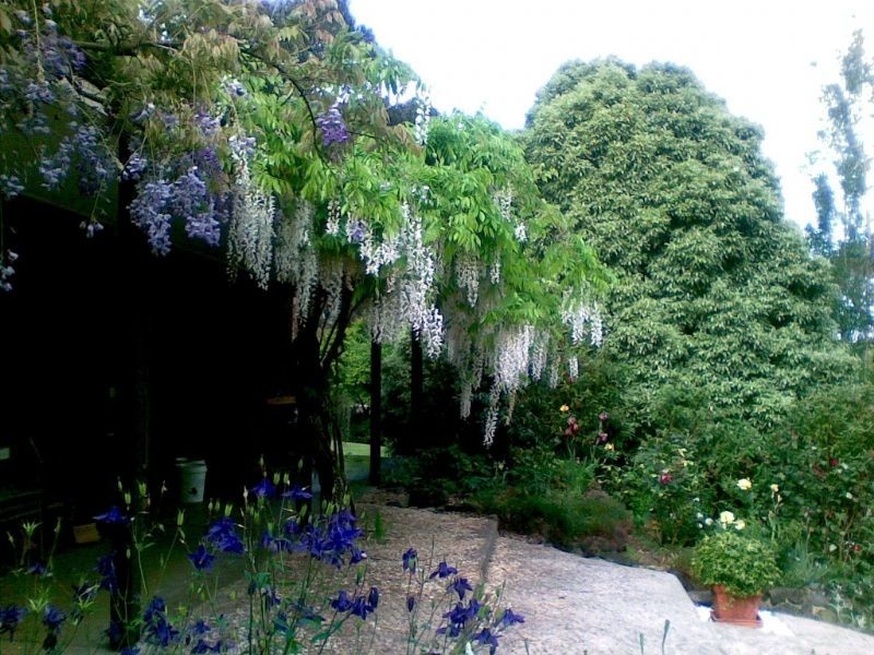 4 Jepson Court, Mirboo North VIC 3871