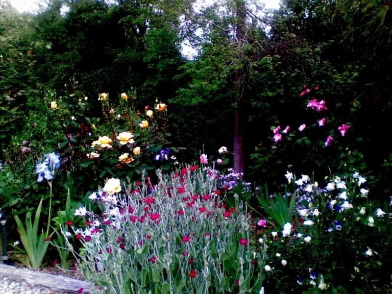 4 Jepson Court, Mirboo North VIC 3871