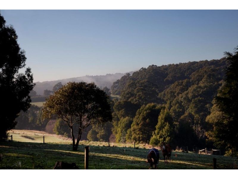 4 Jepson Court, Mirboo North VIC 3871