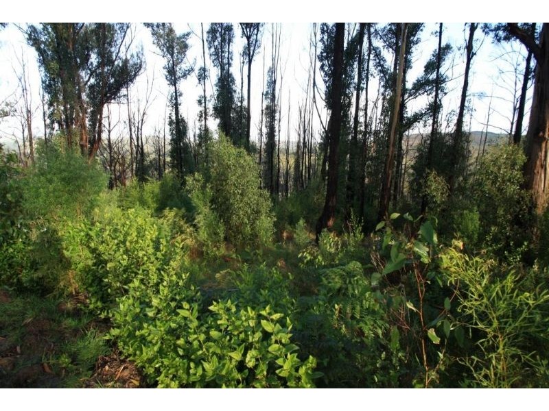 Lot 1 Bunderra Drive, Boolarra VIC 3870