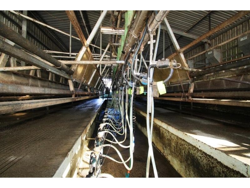 1330 Tarwin Lower Road, Middle Tarwin, Leongatha VIC 3953