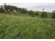 226 Wild Dog Road, STRZELECKI, Kardella VIC 3951