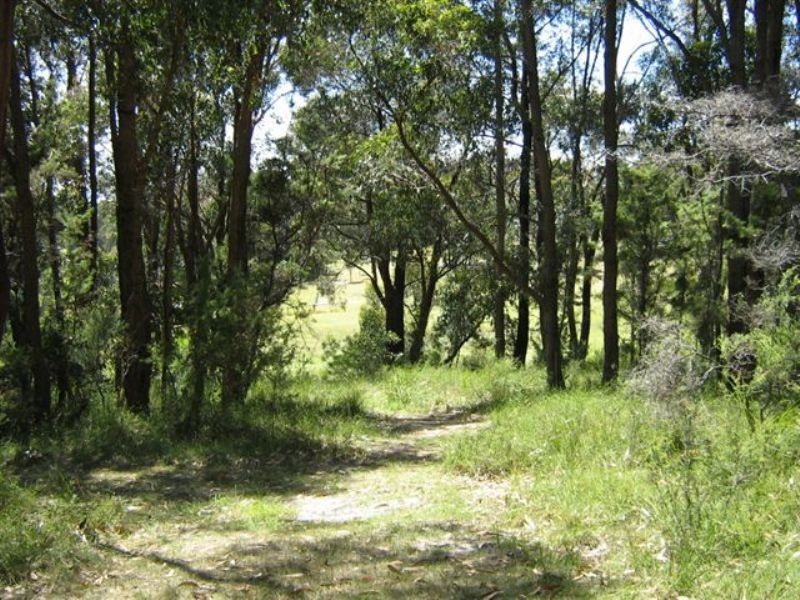 8 Grey Road, Mirboo North VIC 3871