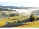 1090 Leongatha Yarragon Road, Hallston VIC 3953