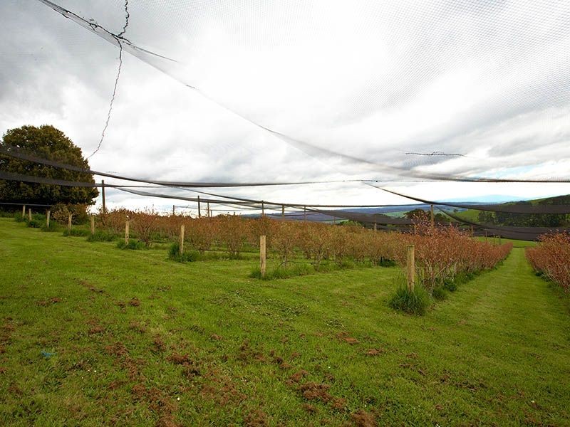 120 PIONEER ROAD, Boolarra VIC 3870