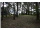 5 Wells Road, Mirboo North VIC 3871
