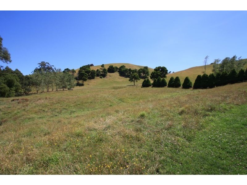 565 Berry’s Creek Rd, Mirboo North VIC 3871