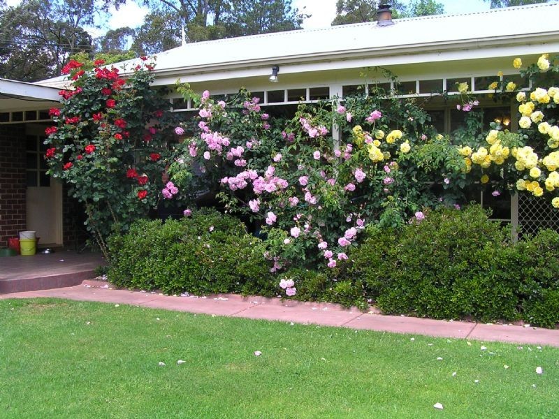 169 Darlimurla Road, Mirboo North VIC 3871