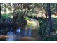 169 Darlimurla Road, Mirboo North VIC 3871