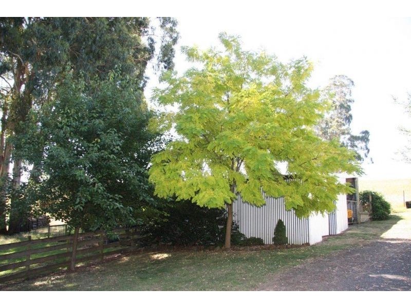 1016 Morwell-Thorpdale Rd, Thorpdale VIC 3835