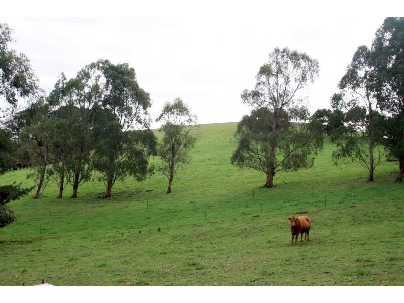 Mirboo North VIC 3871