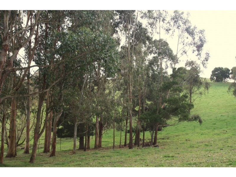 Mirboo North VIC 3871