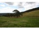 3735 Grandridge Road, Mirboo North VIC 3871