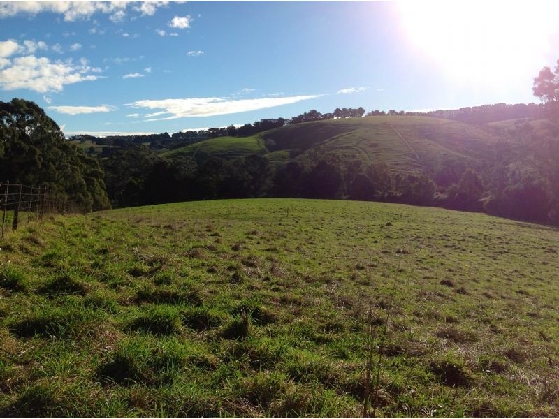 0 Clear Creek Valley Road, Mirboo VIC 3871