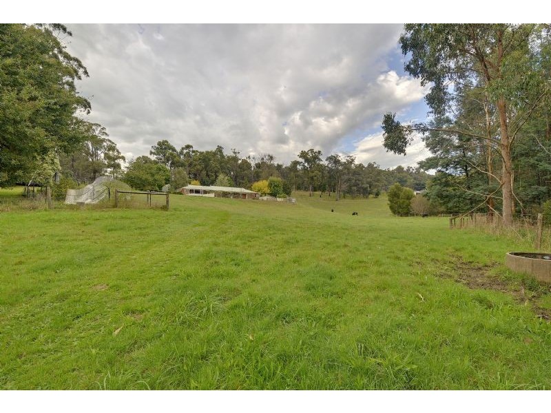 169 Darlimurla Road, Mirboo North VIC 3871