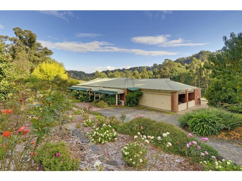 169 Darlimurla Road, Mirboo North VIC 3871