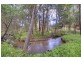169 Darlimurla Road, Mirboo North VIC 3871