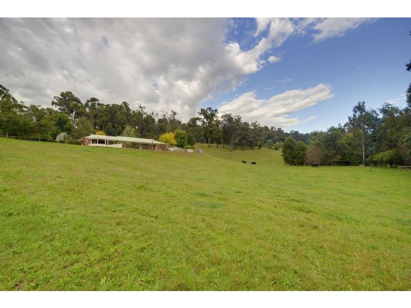 169 Darlimurla Road, Mirboo North VIC 3871