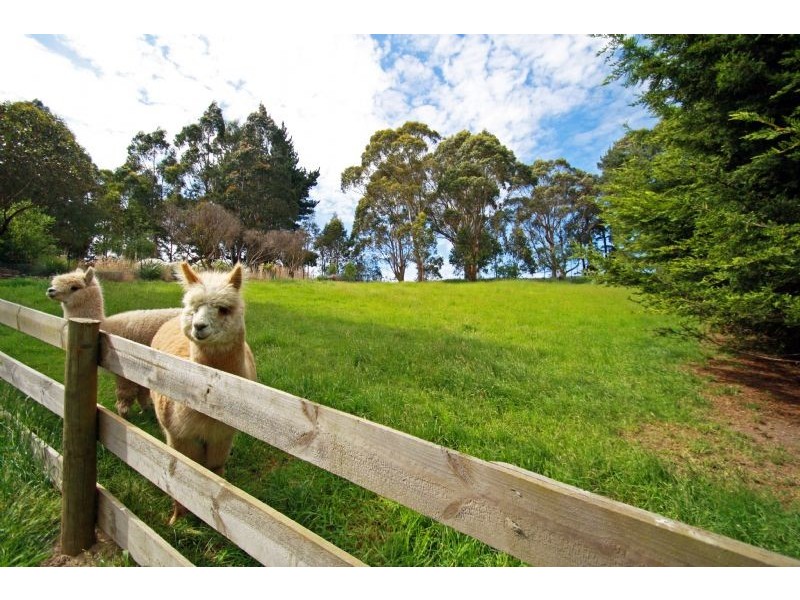 130 St Ellens Road, Mirboo North VIC 3871