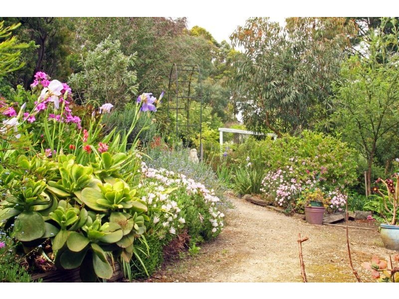 130 St Ellens Road, Mirboo North VIC 3871