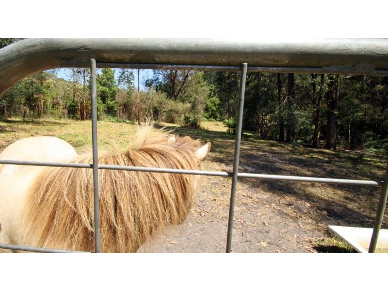 2580 Strzelecki Highway, Mirboo North VIC 3871