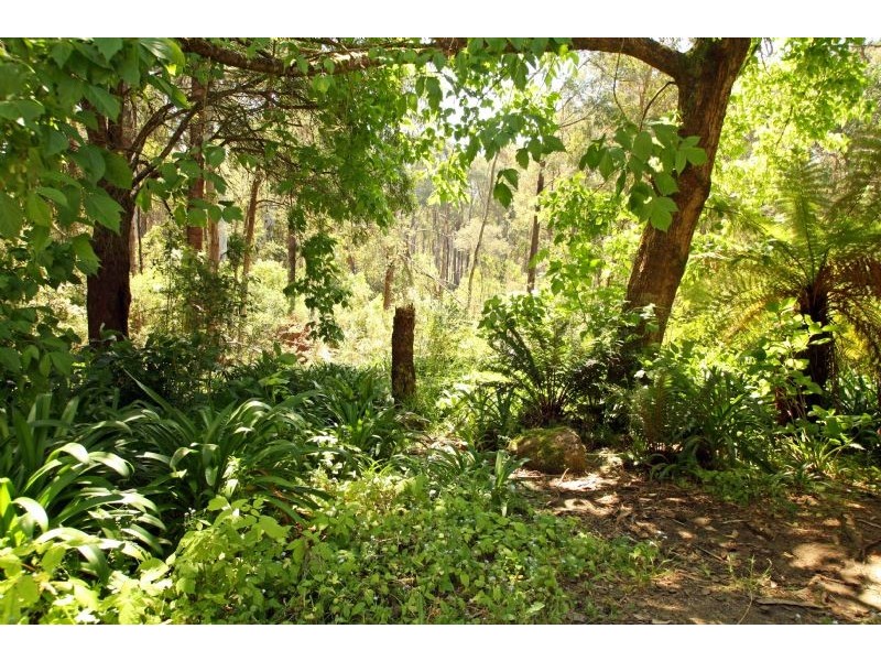 2580 Strzelecki Highway, Mirboo North VIC 3871