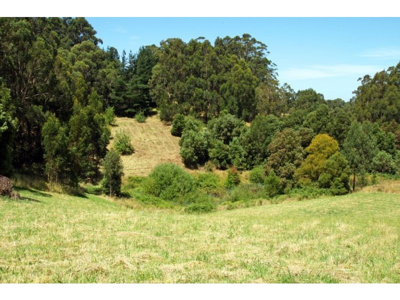 7 Scott Court, Mirboo North VIC 3871