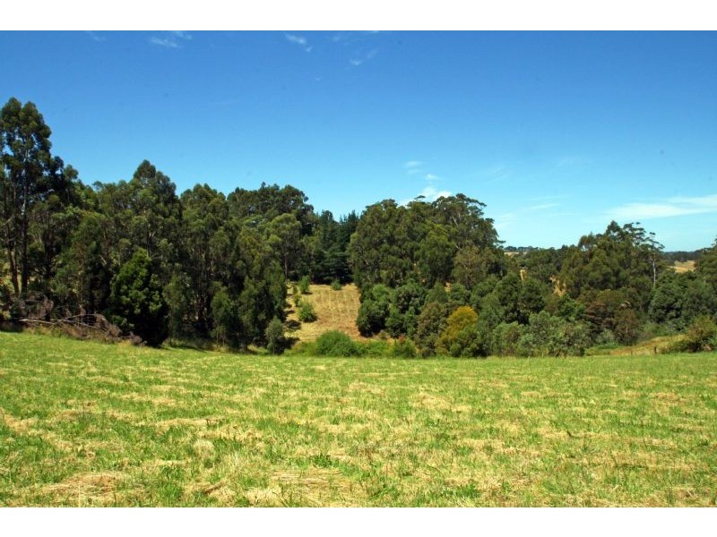 7 Scott Court, Mirboo North VIC 3871