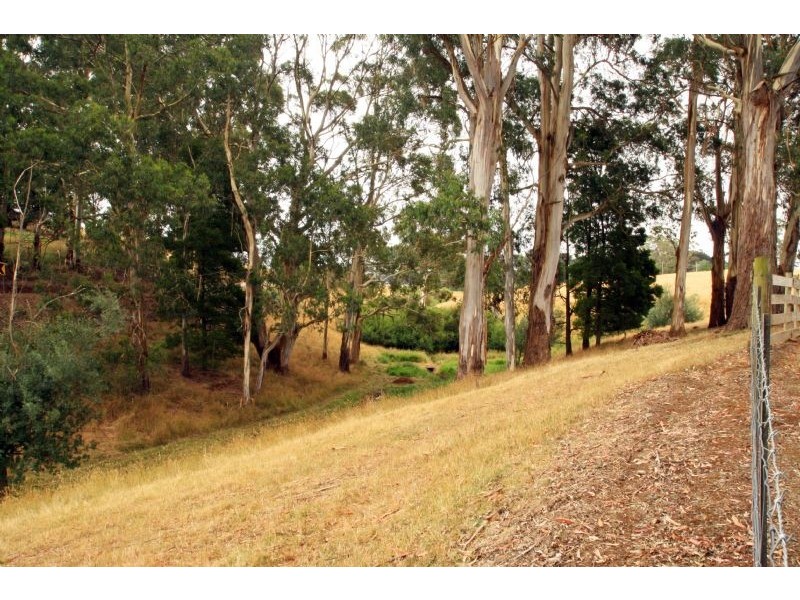 1016 Morwell – Thorpdale Road, Thorpdale VIC 3835