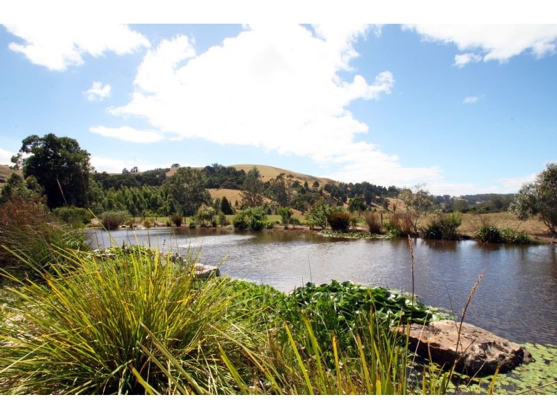 126 Cooks Road, Mirboo North VIC 3871