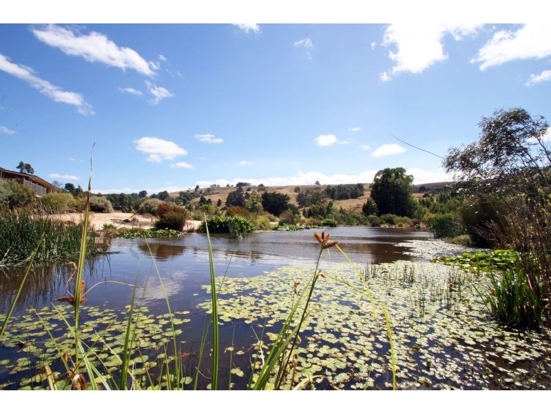 126 Cooks Road, Mirboo North VIC 3871