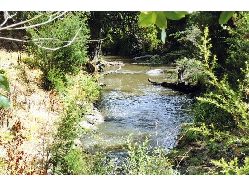 126 Cooks Road, Mirboo North VIC 3871