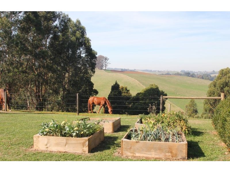 187 Boolarra South Mirboo North Road, Mirboo North VIC 3871