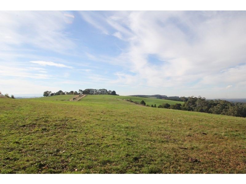 Lot 2/630 Old Thorpdale Road, Mirboo North VIC 3871