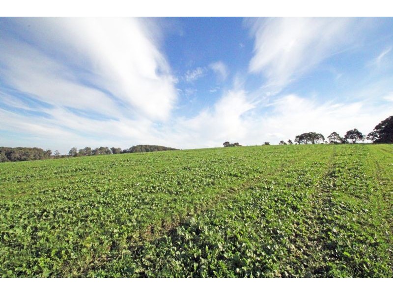 Lot 2/630 Old Thorpdale Road, Mirboo North VIC 3871