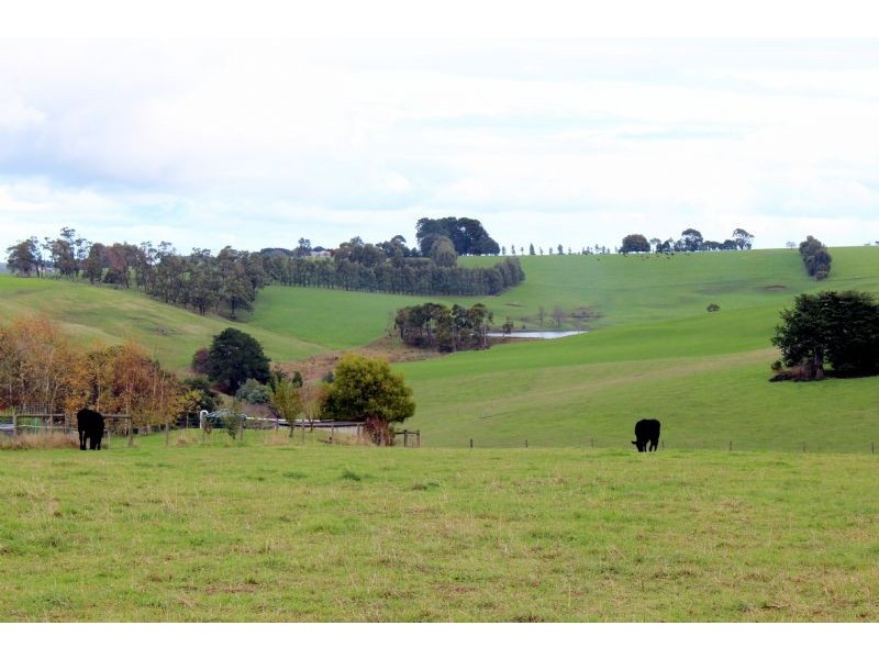 190 Wooreen – Mirboo Road, Berrys Creek VIC 3953