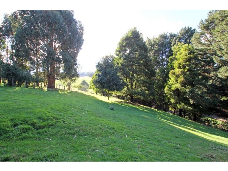 205 Clear Creek Valley Road, Mirboo North VIC 3871