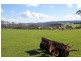 60 St Ellens Road, Mirboo North VIC 3871
