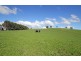 60 St Ellens Road, Mirboo North VIC 3871
