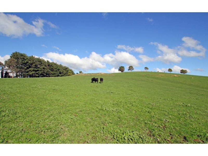 60 St Ellens Road, Mirboo North VIC 3871