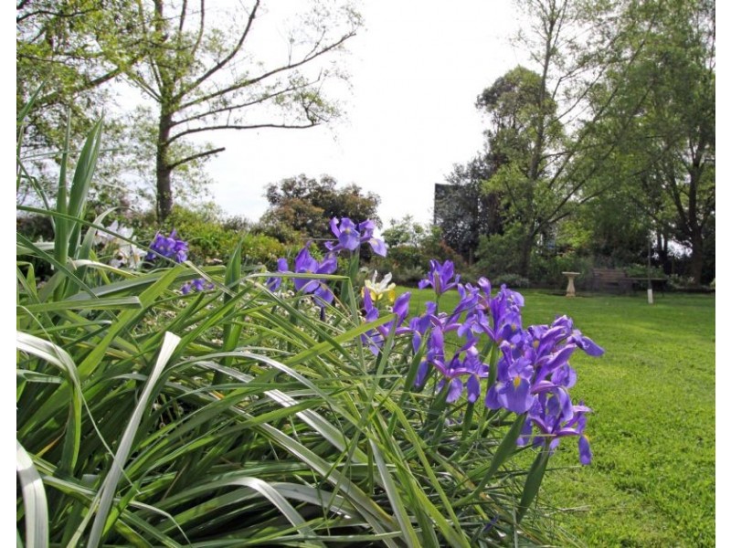 20 Stockdales Road, Thorpdale VIC 3835