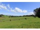 Lot 1 Meeniyan – Mirboo North Road, Mirboo North VIC 3871