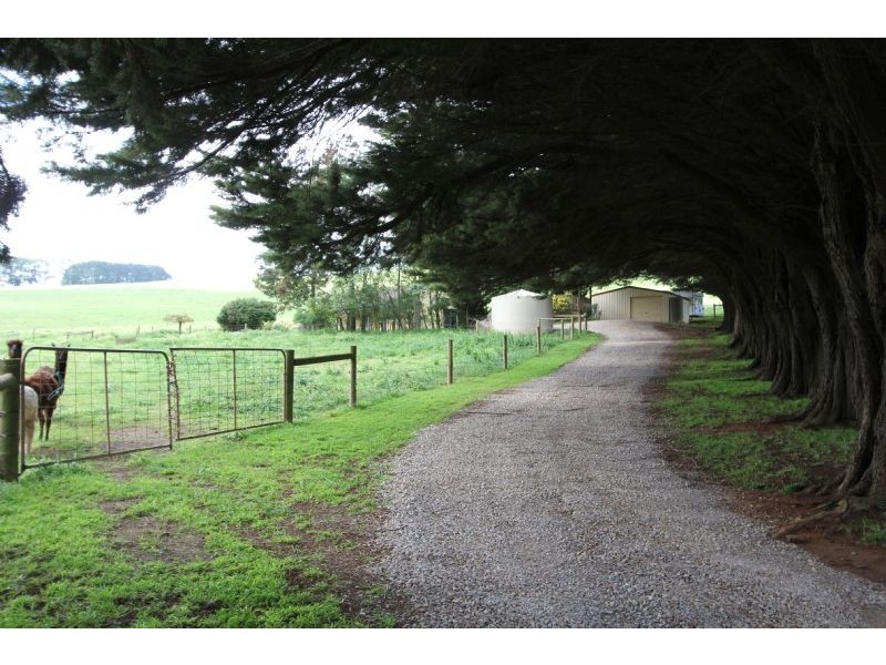 63 Walsh’s Road, Thorpdale VIC 3835