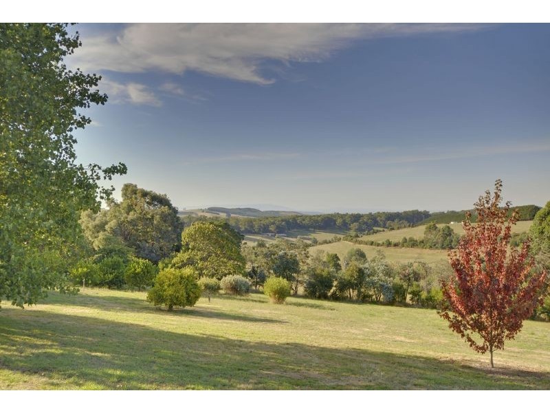 1095 Boolarra South Mirboo North Road, Mirboo North VIC 3871