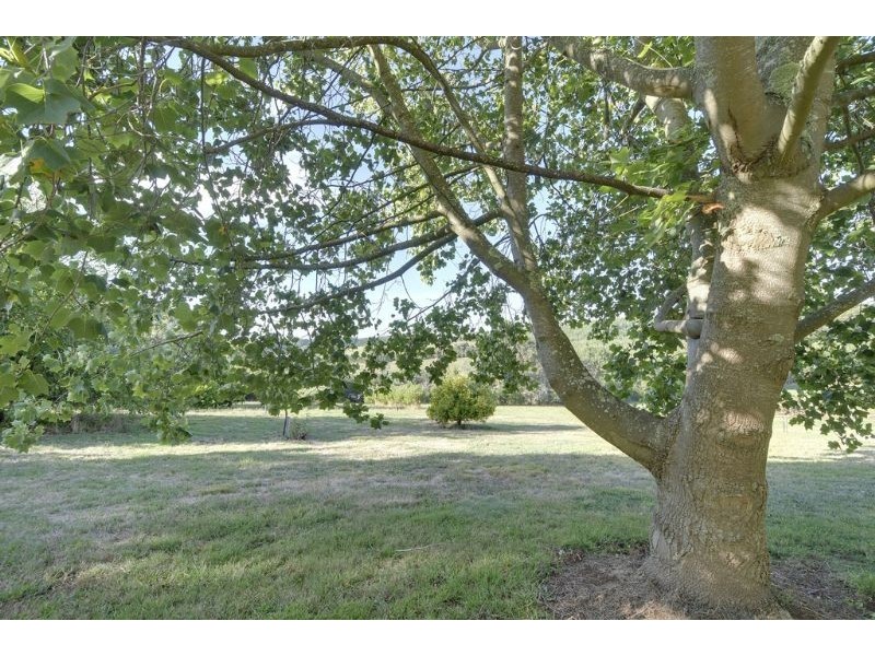 1095 Boolarra South Mirboo North Road, Mirboo North VIC 3871